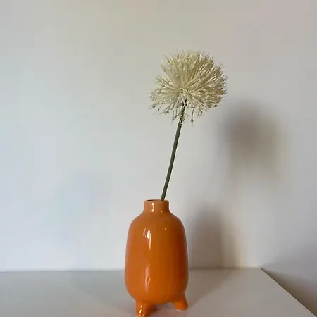 Apartman Nuovissimo A